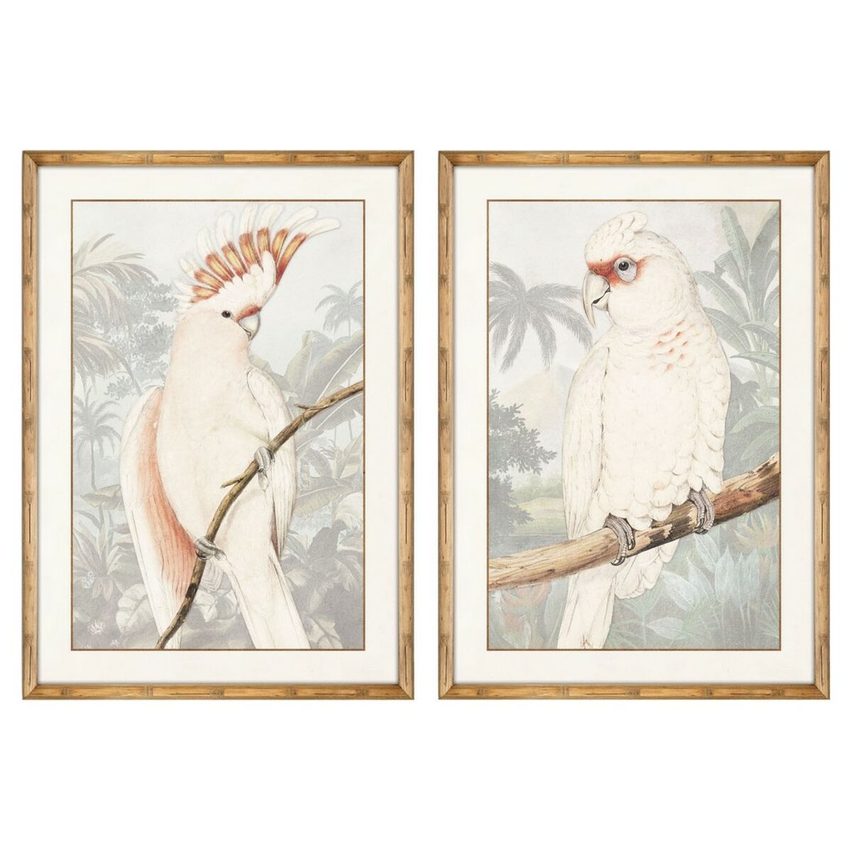Painting DKD Home Decor Parrot Tropical (2 Units) (50 x 3 x 70 cm)