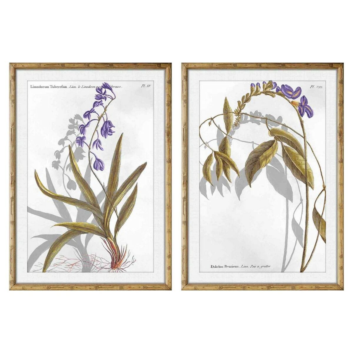 Painting DKD Home Decor Flowers Modern (50 x 2 x 70 cm) (2 Units)