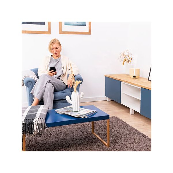 Humidifier PureAroma 550 Connected SunLight Cecotec (500 ml)