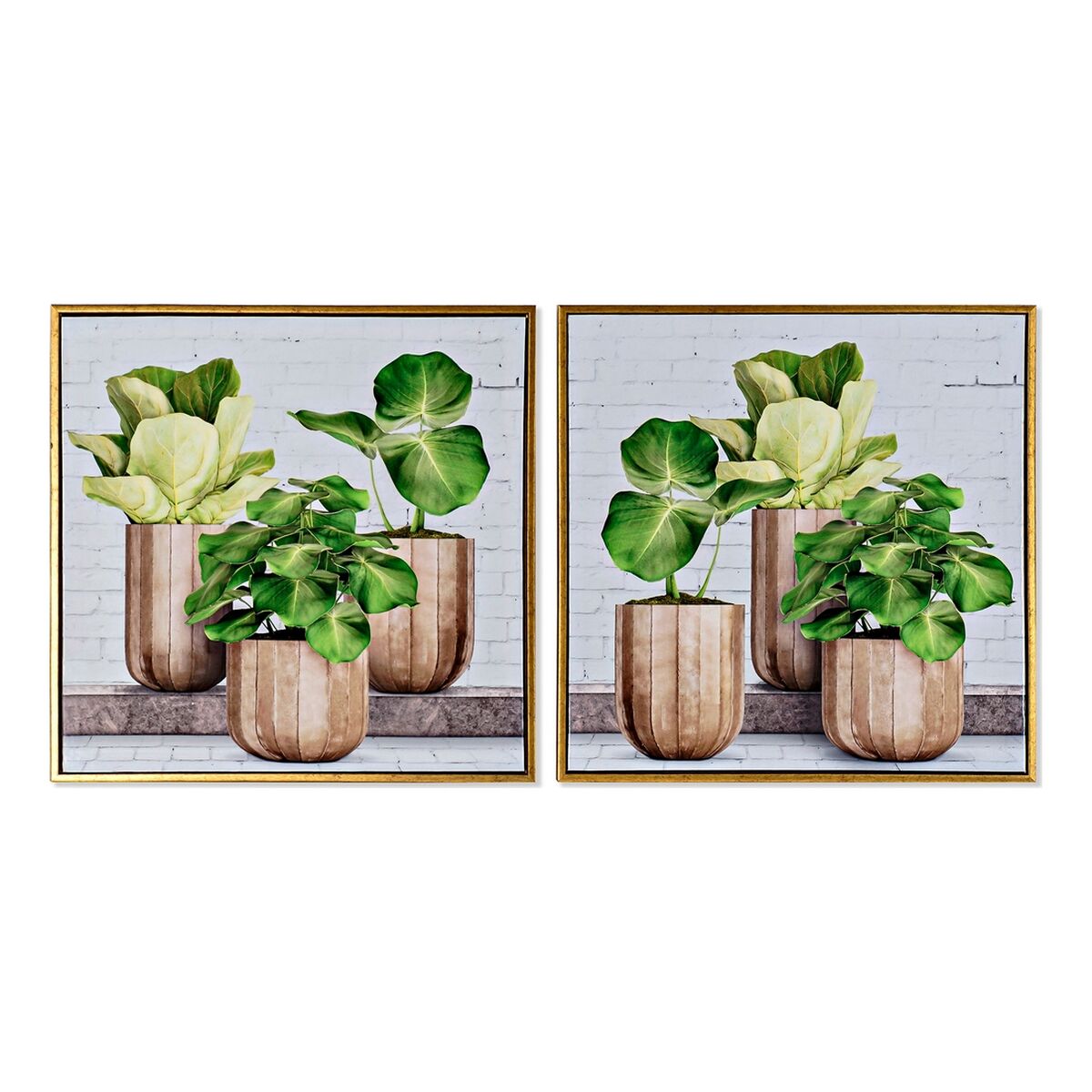 Painting DKD Home Decor Plant pot (52 x 2,3 x 52 cm) (2 Units)