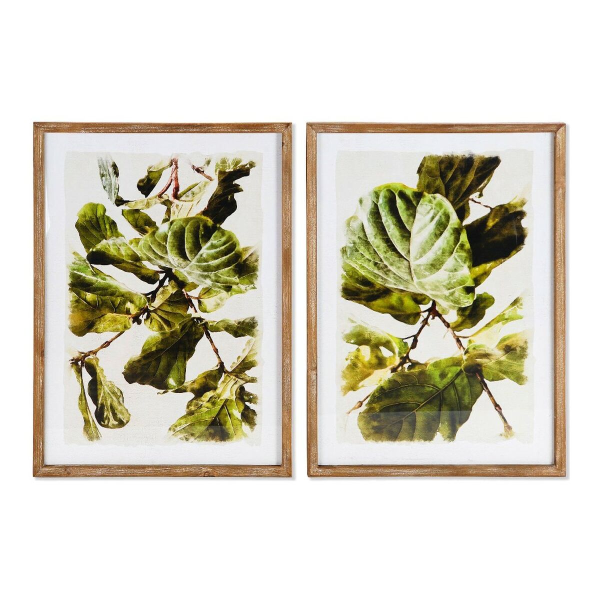 Painting DKD Home Decor Plants Leaf of a plant (50 x 2,5 x 70 cm) (2 Units)