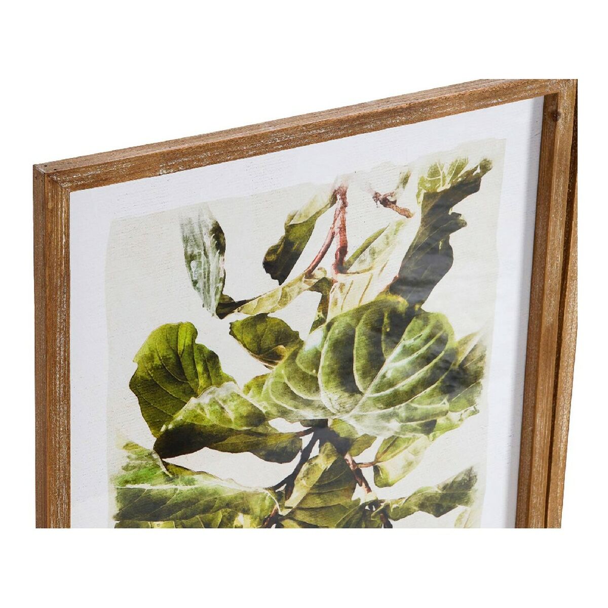 Painting DKD Home Decor Plants Leaf of a plant (50 x 2,5 x 70 cm) (2 Units)