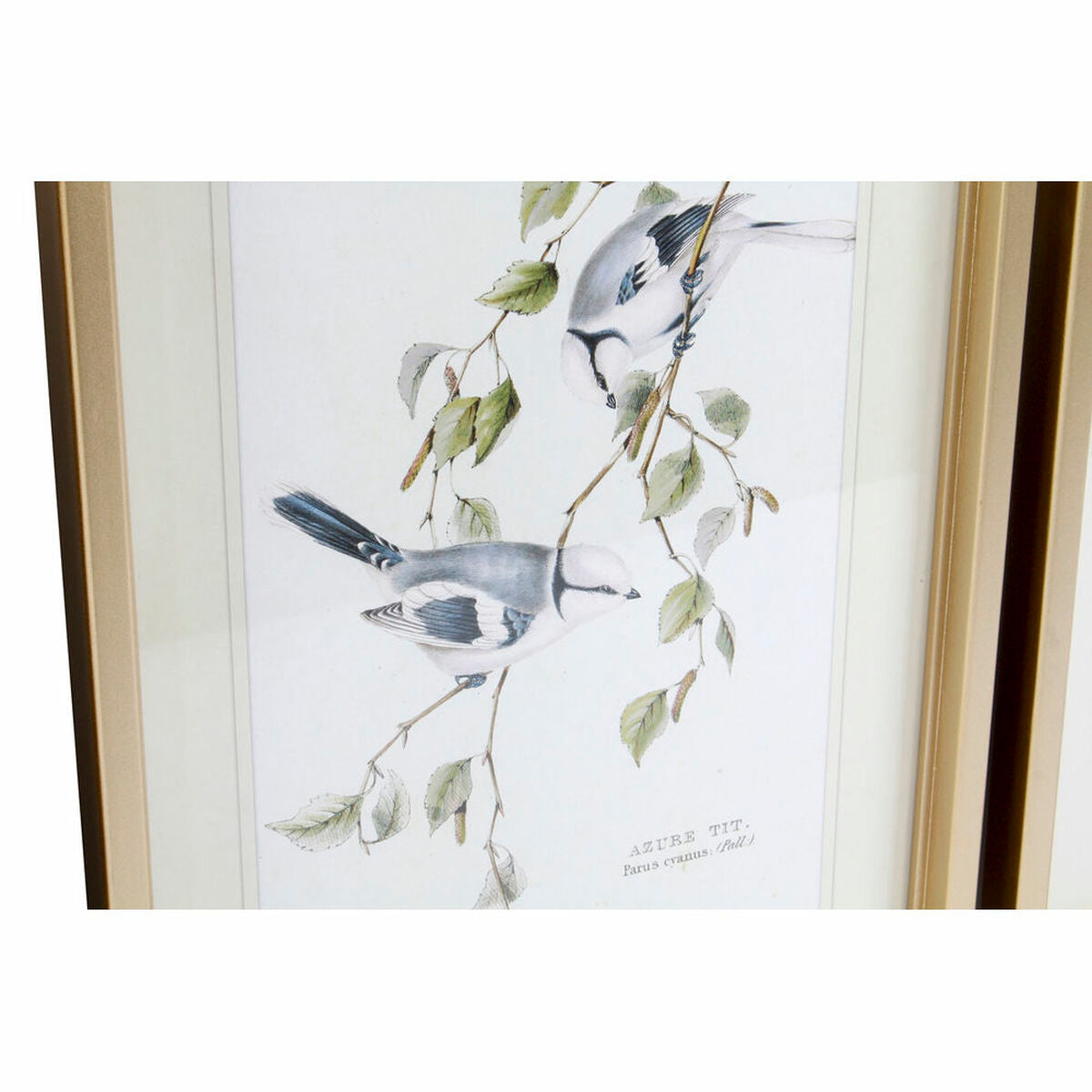 Painting DKD Home Decor S3017833 Birds (35 x 2,5 x 45 cm) (4 Units)