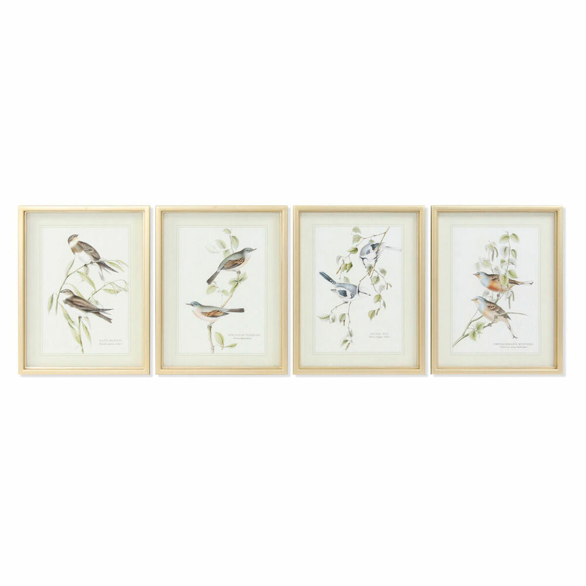 Painting DKD Home Decor S3017833 Birds (35 x 2,5 x 45 cm) (4 Units)