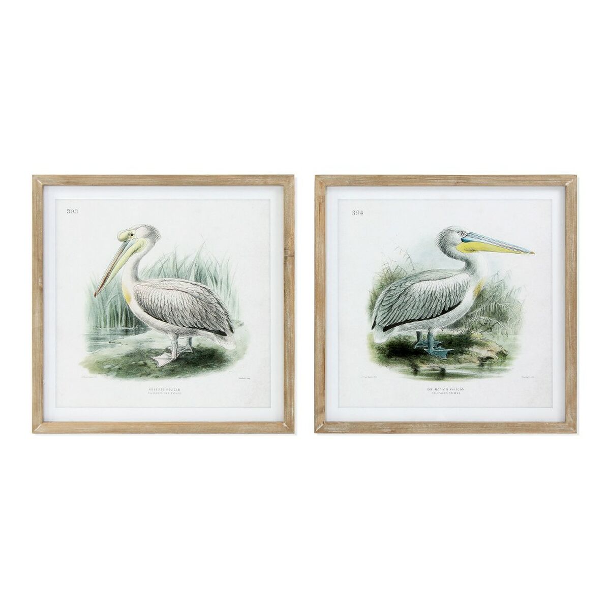 Painting DKD Home Decor Pelican Bird (2 Units) (60 x 2 x 60 cm)