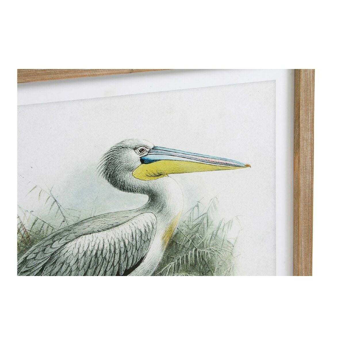 Painting DKD Home Decor Pelican Bird (2 Units) (60 x 2 x 60 cm)