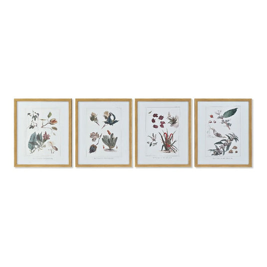 Painting DKD Home Decor S3013715 Canvas Flowers (43 x 3 x 53 cm) (4 Units)