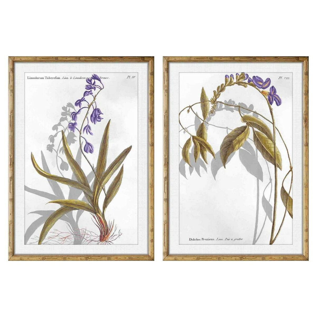 Painting DKD Home Decor Flowers Modern (50 x 2 x 70 cm) (2 Units)