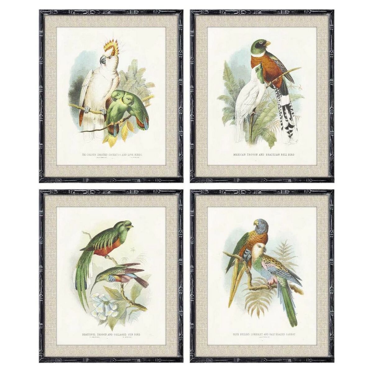 Painting DKD Home Decor Birds Modern (50 x 2 x 60 cm) (4 Units)