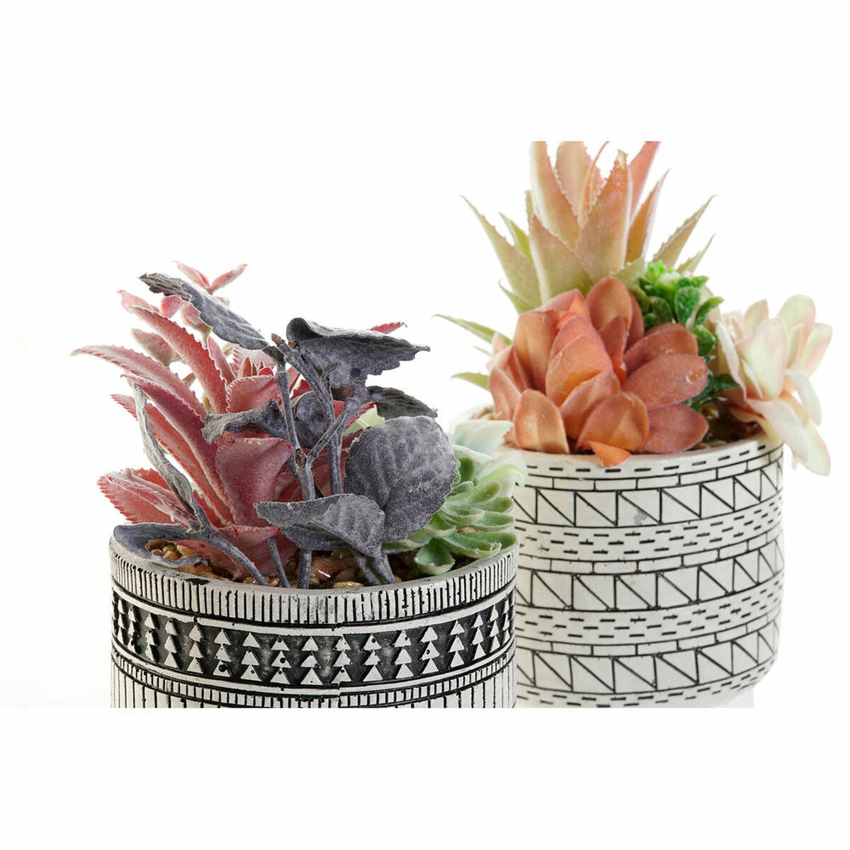 Decorative Plant DKD Home Decor Cactus Resin Polyethylene (11 x 11 x 21 cm) (2 pcs)