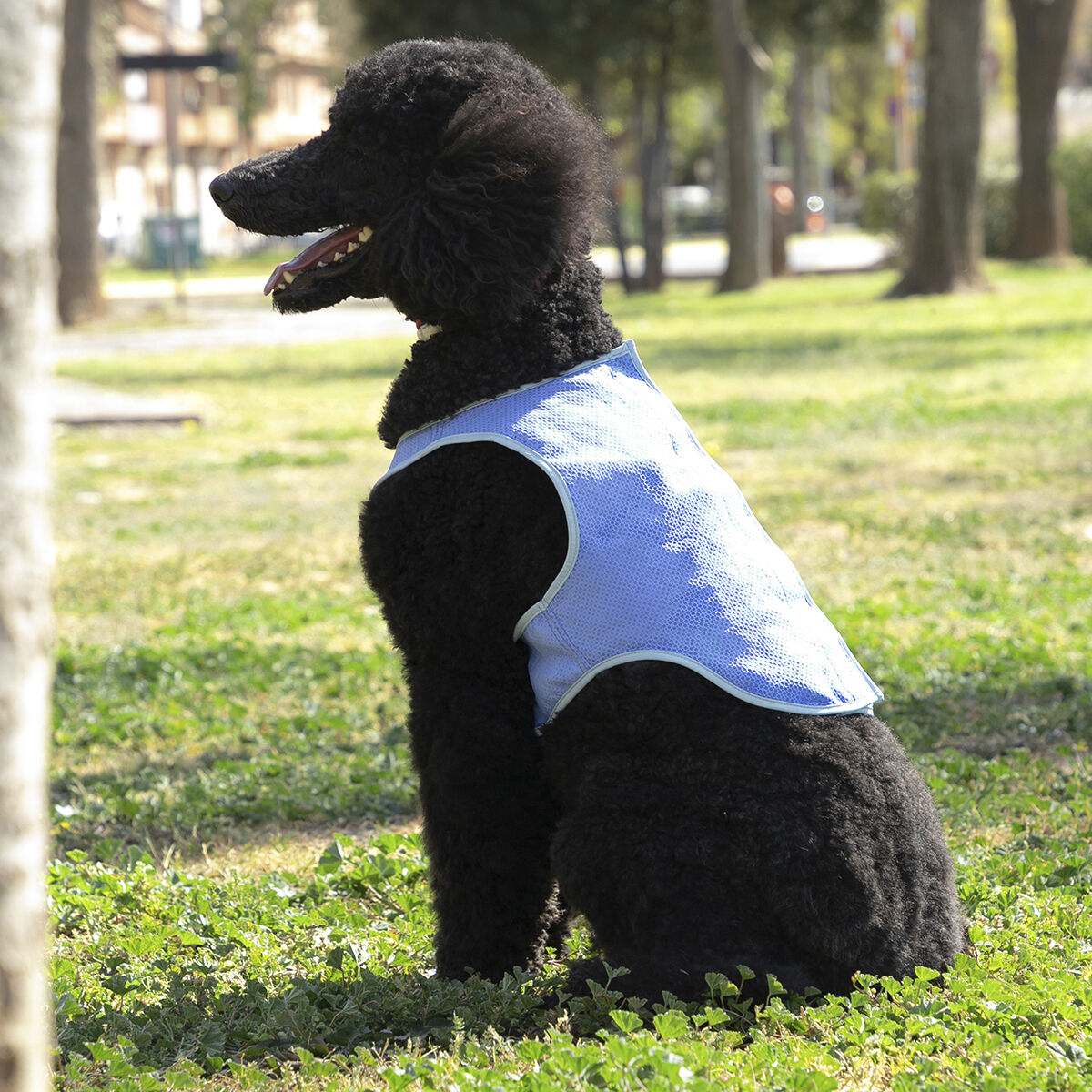 InnovaGoods Refreshing Pet Vest for Medium Pets - M