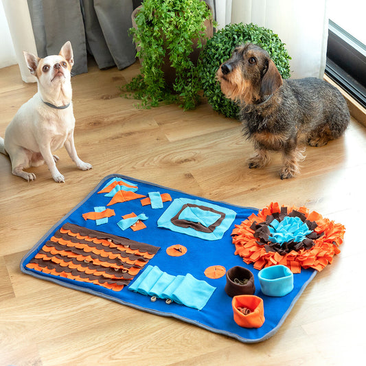 Games mat and rewards for pets Foofield InnovaGoods